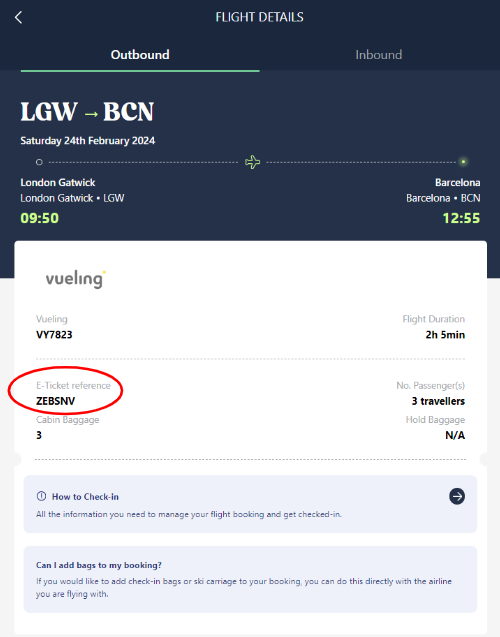 How To Check-in To Your Vueling Flight – Heidi